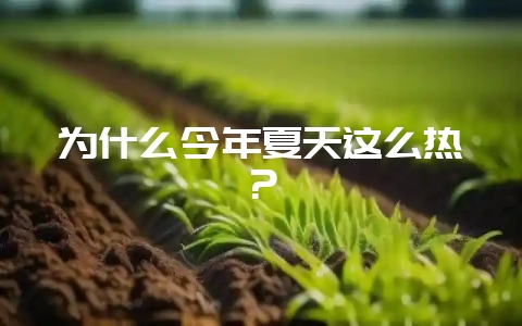 为什么今年夏天这么热？-会东网
