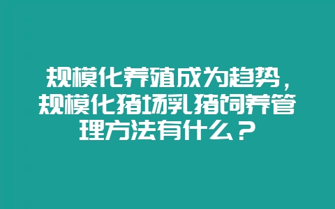 规模化养殖成为趋势，规模化猪场乳猪饲养管理方法有什么？-会东网