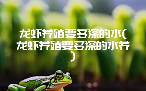 龙虾养殖要多深的水(龙虾养殖要多深的水养)-会东网
