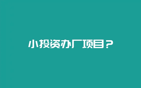 小投资办厂项目？-会东网