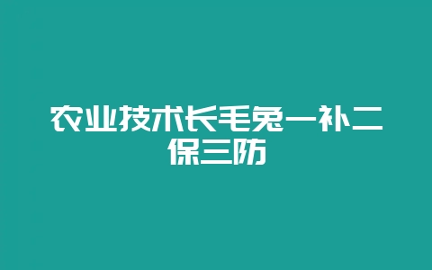 农业技术长毛兔一补二保三防-会东网