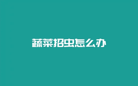 蔬菜招虫怎么办-会东网