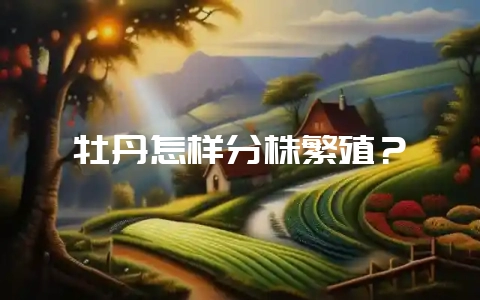 牡丹怎样分株繁殖?-会东网