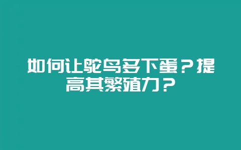 如何让鸵鸟多下蛋？提高其繁殖力？-会东网