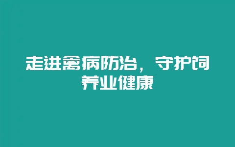 走进禽病防治，守护饲养业健康-会东网