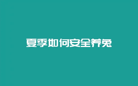 夏季如何安全养兔-会东网