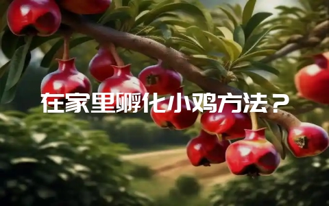 在家里孵化小鸡方法？-会东网