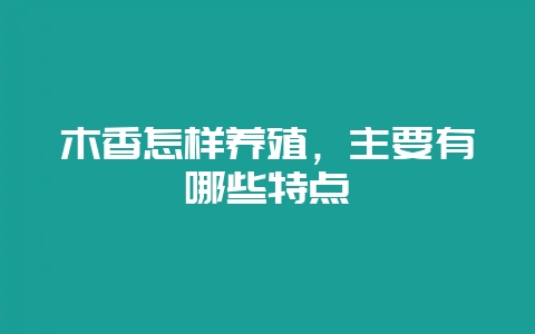 木香怎样养殖，主要有哪些特点-会东网