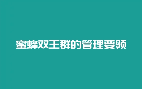 蜜蜂双王群的管理要领-会东网