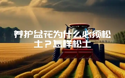 养护盆花为什么必须松土？怎样松土-会东网
