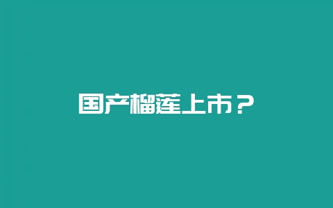 国产榴莲上市？-会东网