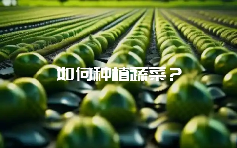 如何种植蔬菜？-会东网