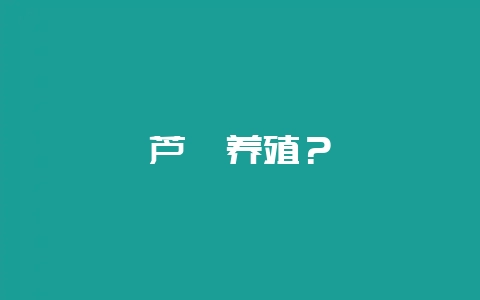 芦荟养殖？-会东网