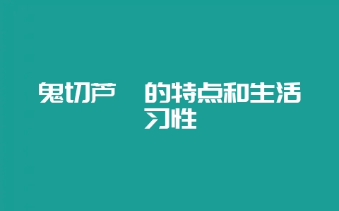 鬼切芦荟的特点和生活习性-会东网
