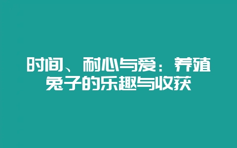 时间、耐心与爱：养殖兔子的乐趣与收获-会东网