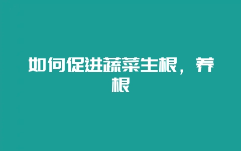 如何促进蔬菜生根,养根-会东网