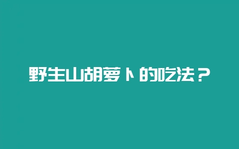 野生山胡萝卜的吃法？-会东网