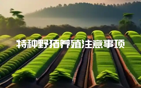 特种野猪养殖注意事项-会东网