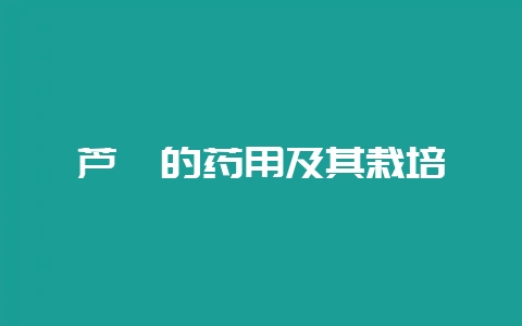 芦荟的药用及其栽培-会东网