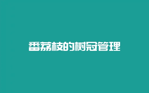 番荔枝的树冠管理-会东网