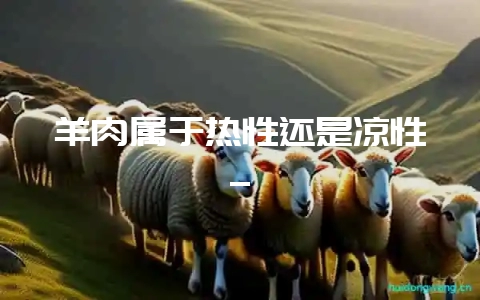 羊肉属于热性还是凉性_-会东网