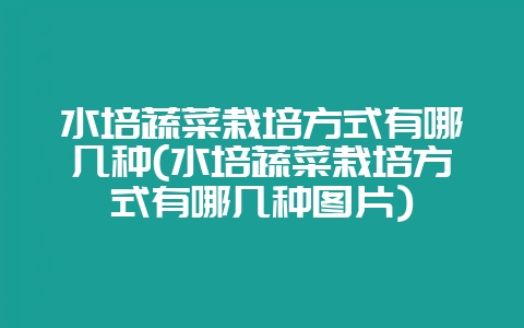 水培蔬菜栽培方式有哪几种(水培蔬菜栽培方式有哪几种图片)-会东网
