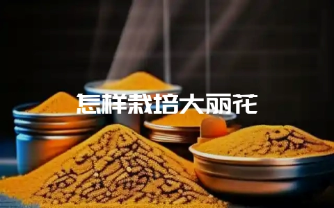 怎样栽培大丽花-会东网