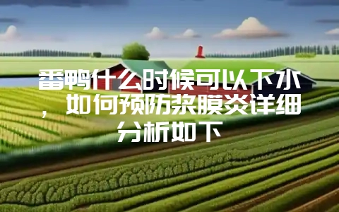 番鸭什么时候可以下水,如何预防浆膜炎详细分析如下-会东网
