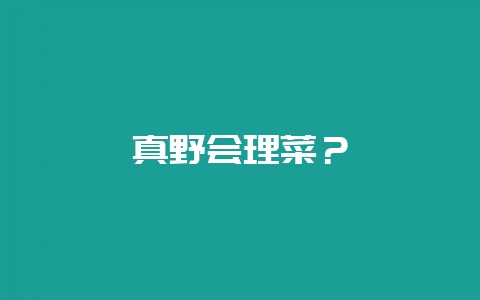 真野会理菜?插图 真野会理菜?插图