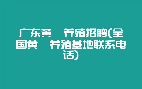 广东黄鳝养殖招聘(全国黄鳝养殖基地联系电话)-会东网