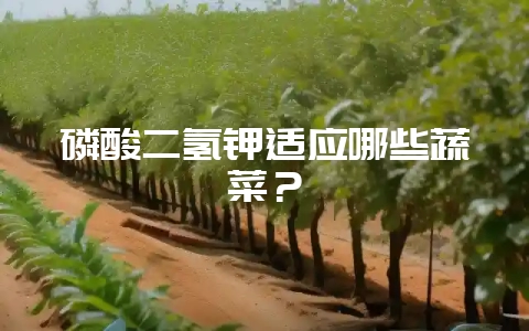 磷酸二氢钾适应哪些蔬菜？-会东网