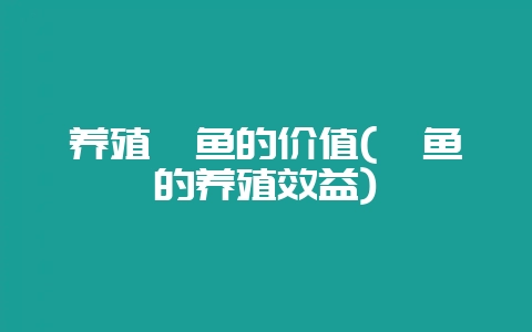 养殖鲈鱼的价值(鲈鱼的养殖效益)-会东网