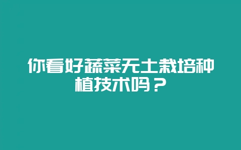 你看好蔬菜无土栽培种植技术吗？-会东网