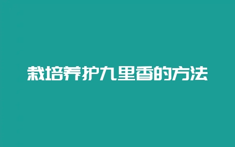 栽培养护九里香的方法-会东网