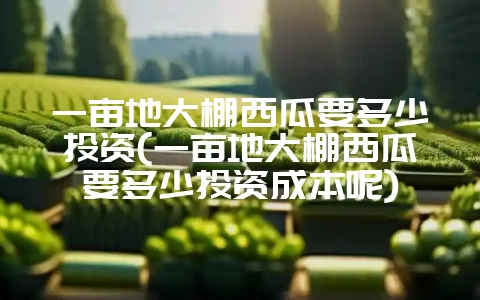 一亩地大棚西瓜要多少投资(一亩地大棚西瓜要多少投资成本呢)-会东网