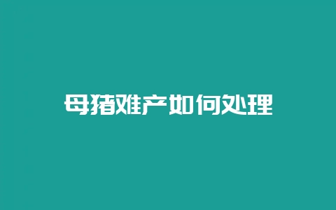 母猪难产如何处理-会东网