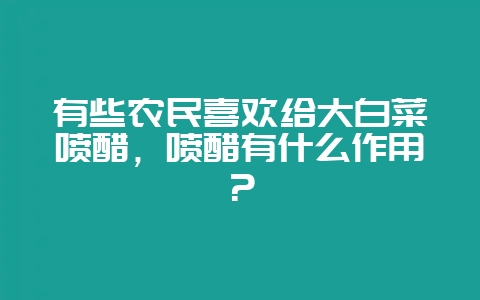 有些农民喜欢给大白菜喷醋,喷醋有什么作用?插图 有些农民喜欢给大白菜喷醋,喷醋有什么作用?插图