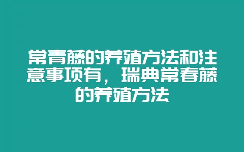 常青藤的养殖方法和注意事项有，瑞典常春藤的养殖方法-会东网