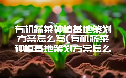 有机蔬菜种植基地策划方案怎么写(有机蔬菜种植基地策划方案怎么写的)-会东网
