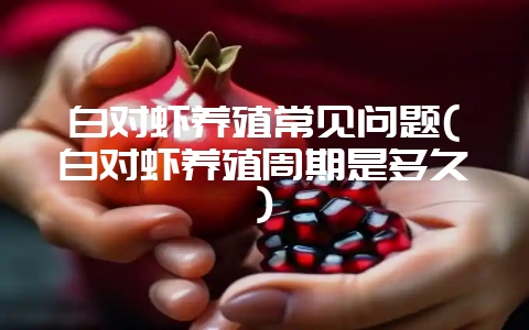 白对虾养殖常见问题(白对虾养殖周期是多久)-会东网