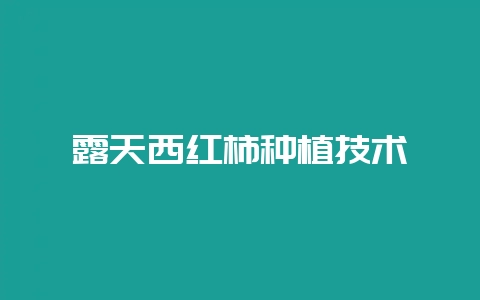 露天西红柿种植技术-会东网