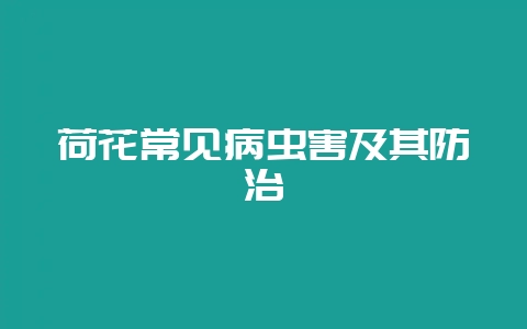 荷花常见病虫害及其防治-会东网