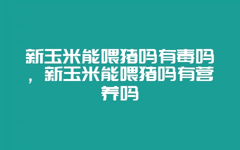 新玉米能喂猪吗有毒吗,新玉米能喂猪吗有营养吗-会东网