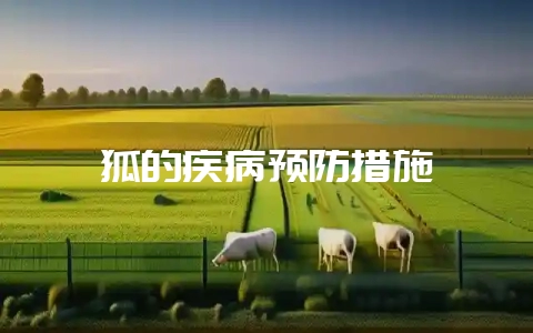 狐的疾病预防措施-会东网