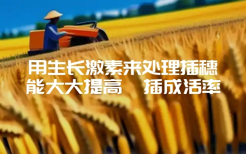 用生长激素来处理插穗能大大提高扦插成活率-会东网