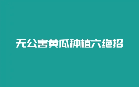 无公害黄瓜种植六绝招-会东网