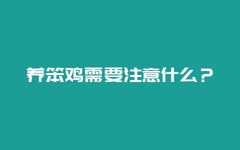 养笨鸡需要注意什么？-会东网