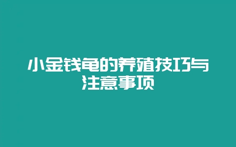 小金钱龟的养殖技巧与注意事项-会东网
