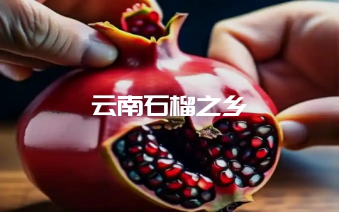 云南石榴之乡插图 云南石榴之乡插图