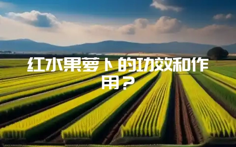 红水果萝卜的功效和作用？-会东网